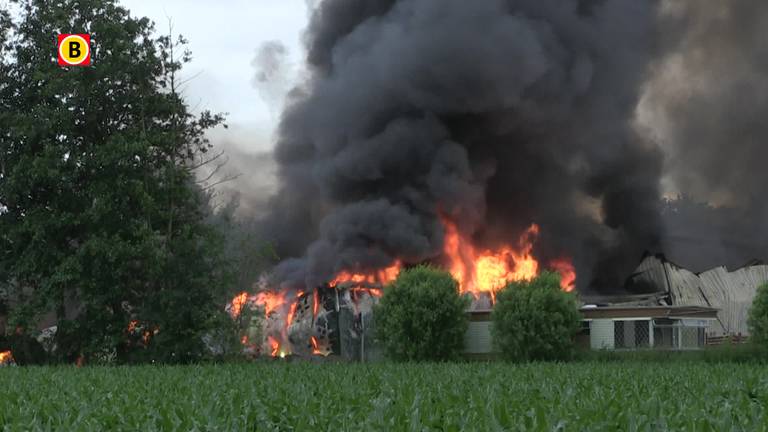 Loods van groenteboer Vorstenbosch afgebrand