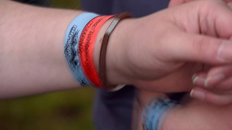 Brabantse festivals slaan aan