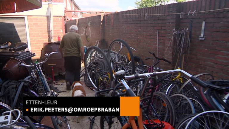 Dapper hondje Paco verjaagt overvaller in Etten-Leur