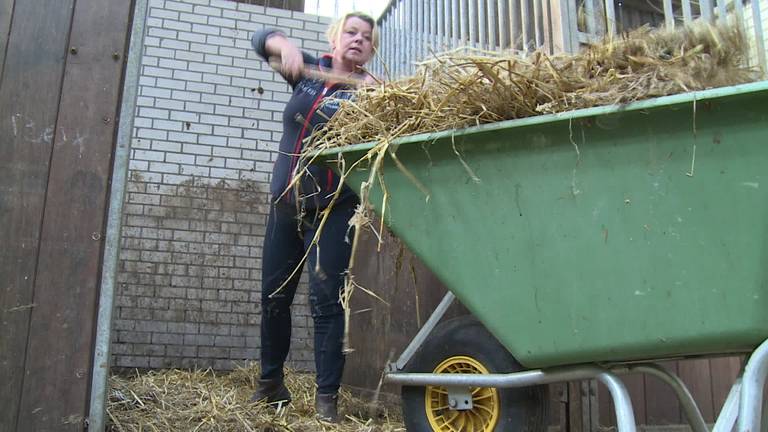 Is de Brabantse paardensportdrank tien maanden na de lancering top of flop?