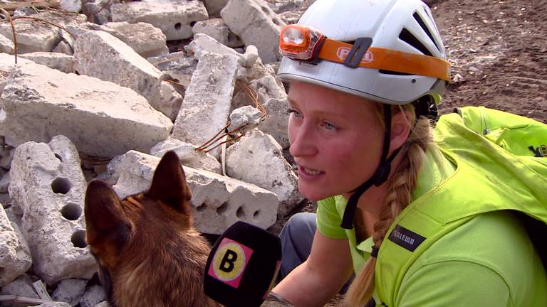 Honden redden mensen uit puin in Bergen op Zoom