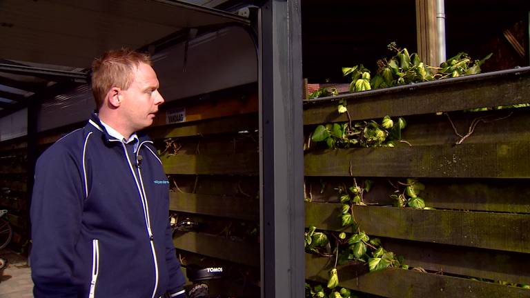 Voor 45.000 euro aan fietsen gestolen bij Vos Tweewielers in Wijk en Aalburg