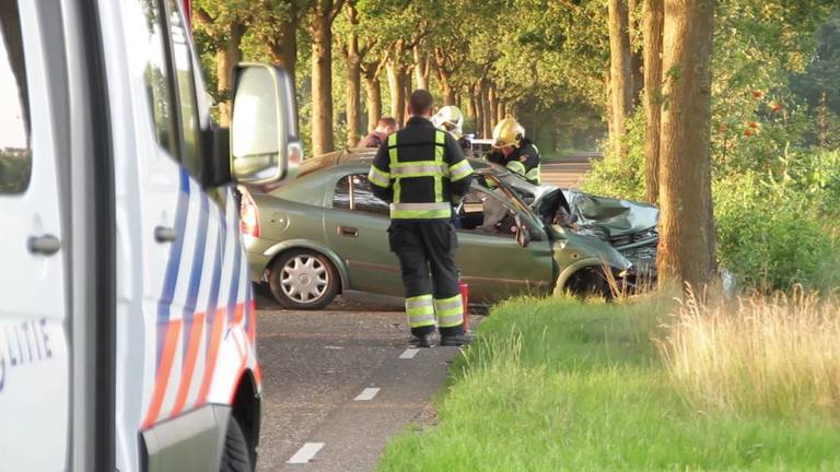 Steeds meer aanrijdingen met wild in Brabant