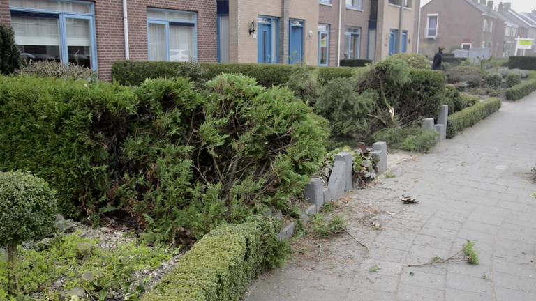 Op hol geslagen paard trekt koets door tuintjes