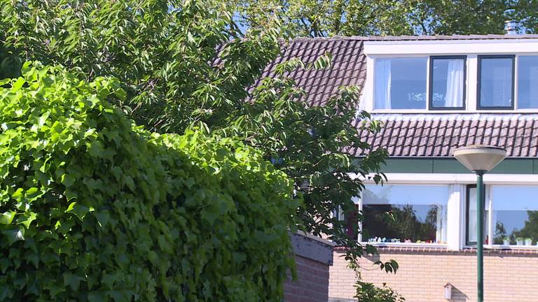 Bijenvolk op drift is opnieuw stapelverliefd op het Baarsplein in Woudrichem