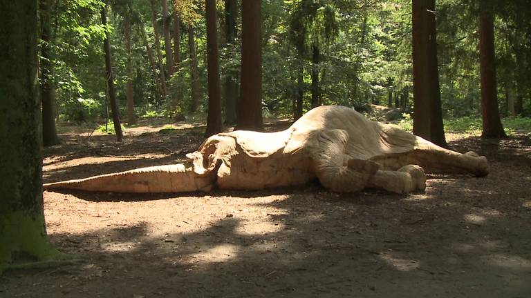 In Tilburg begint zaterdag De Lustwarande: de vijfde editie van een grote, internationale beeldententoonstelling in een oud bosgebied