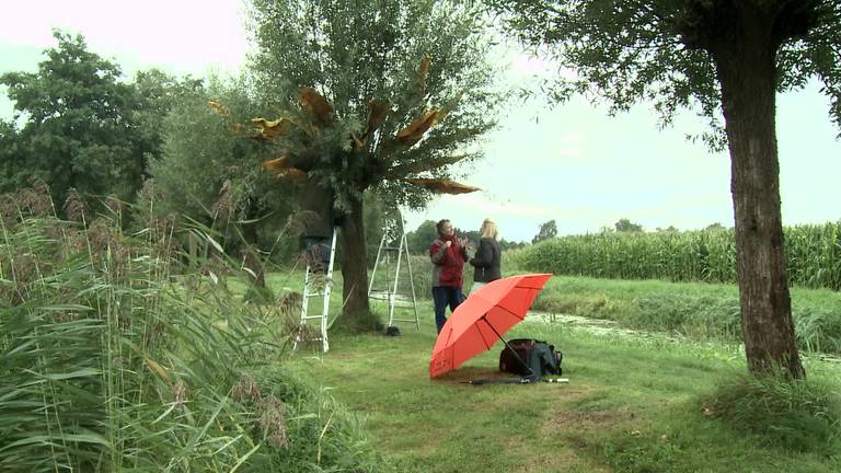 De achtste aflevering van LandArt Diessen: 20 kunstenaars exposeren in de natuur bij Diessen