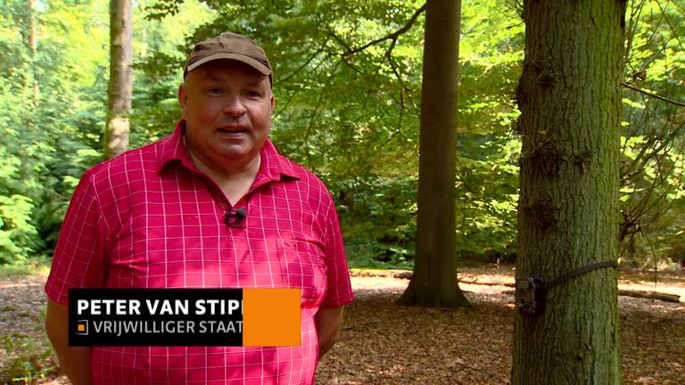 He's back: de boommarter in Oost Brabant