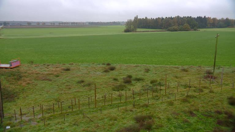 2000 volt: met krokussen stilstaan stil bij dodendraad van 100 jaar geleden