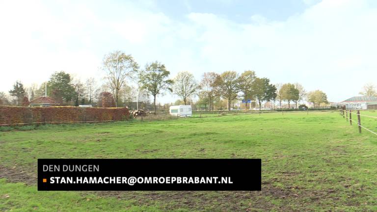 Paard Jenna mishandeld in wei Den Dungen