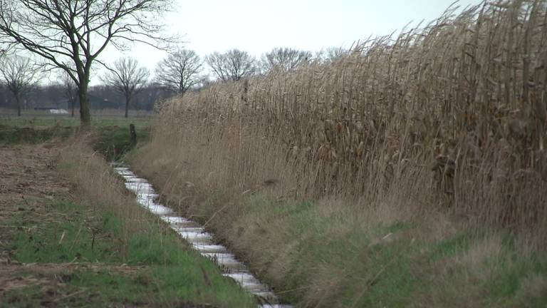 Drugsafval na 9 maanden nog niet opgeruimd