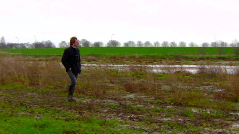 Nieuwe wildernis langs Hemelrijkse Waard bij Oijen