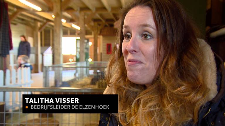 Lease-cavia is een uitkomst voor baasjes op proef