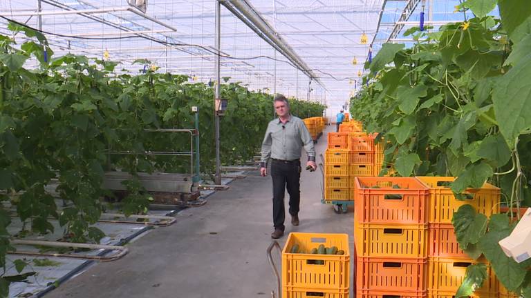 Boeren en versproducenten in Roosendaal beginnen eigen winkel