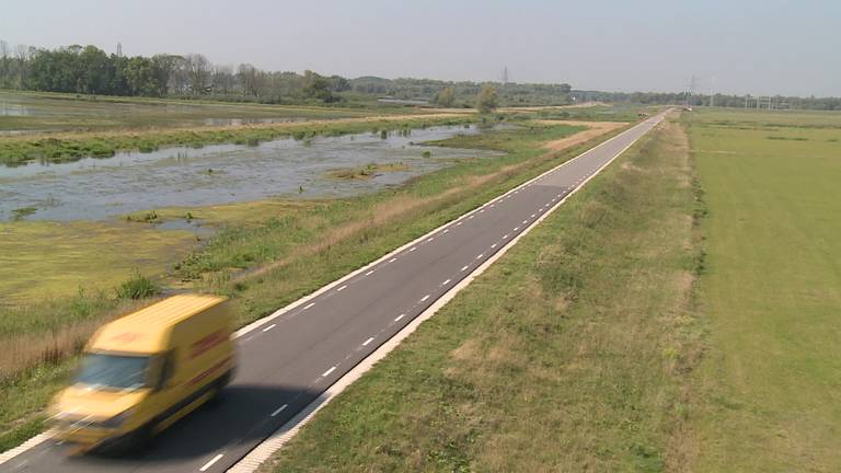 Biesboschbevers doodgereden op nieuwe polderwegen in de Noordwaard