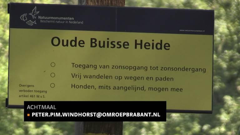 Tussen de natuur op de Oude  Buisse heide staat de komende twee maanden ook kunst