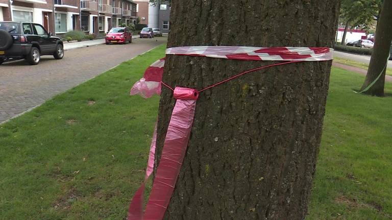 Buurtbewoners hangen zelf zakjes op tegen hondenpoep voor de deur