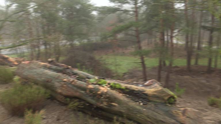 Vernieuwd ecoduct met vlasvezel is primeur voor Brabantse Wal