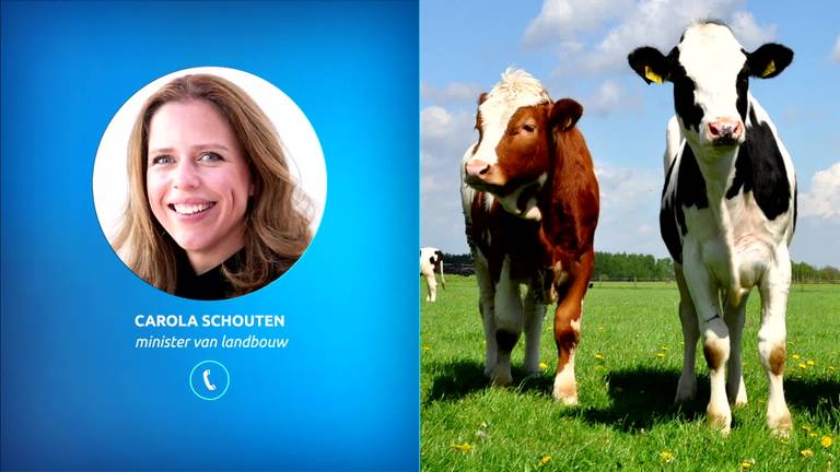 Minister Carola Schouten van Landbouw over de aanpak van mestfraude.