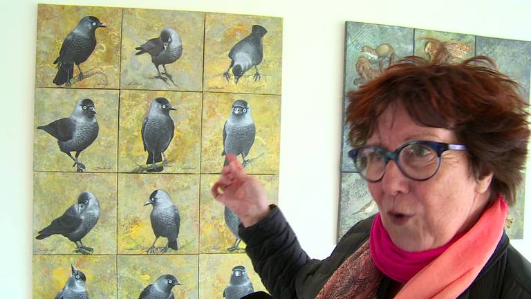 ‘Verguisde zwarterikken’ kijken tot in de zomer brutaal op je neer in het Biesboschmuseum