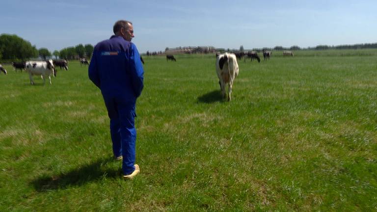 Boer Peter van Roessel voelt zich in de steek gelaten door landbouwminister Schouten