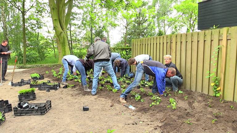 Groen, groener, groenst... Het kan Laarbeek niet groen genoeg zijn en daarom nu speciale wedstrijd