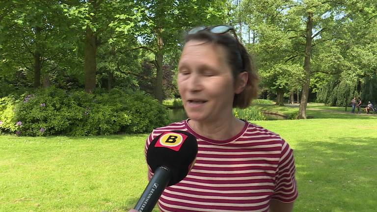 Anne Frankboom in Waalwijk is voor de derde keer vernield