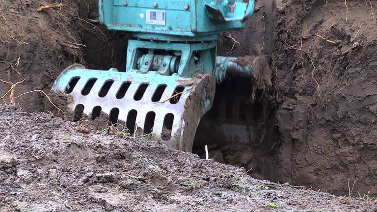 De bever is bezig met een opmars, maar niet iedereen is daar blij