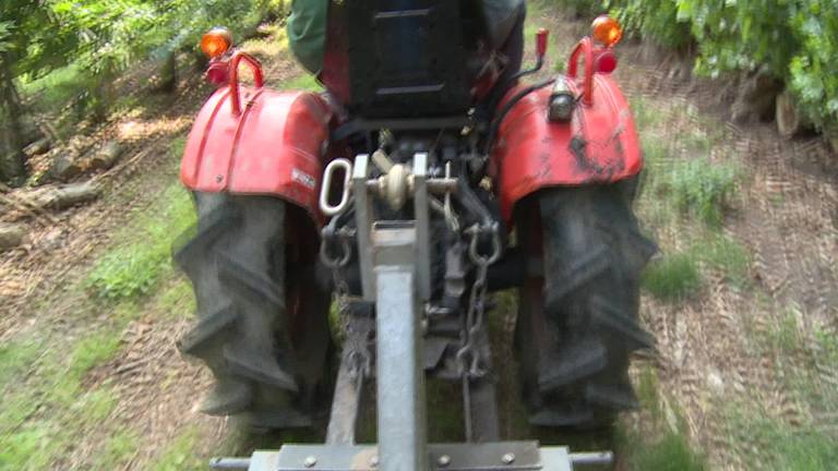 Joel Roks zoekt plukkers om zijn appels en peren te komen plukken