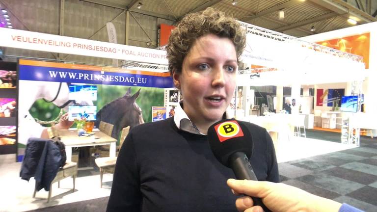 Steffi van Boer zoekt vrouw met Roel bij KWPN hengstenkeuring Den Bosch