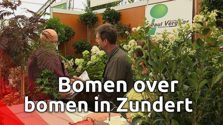 Drie dagen lang bomen over bomen in Zundert