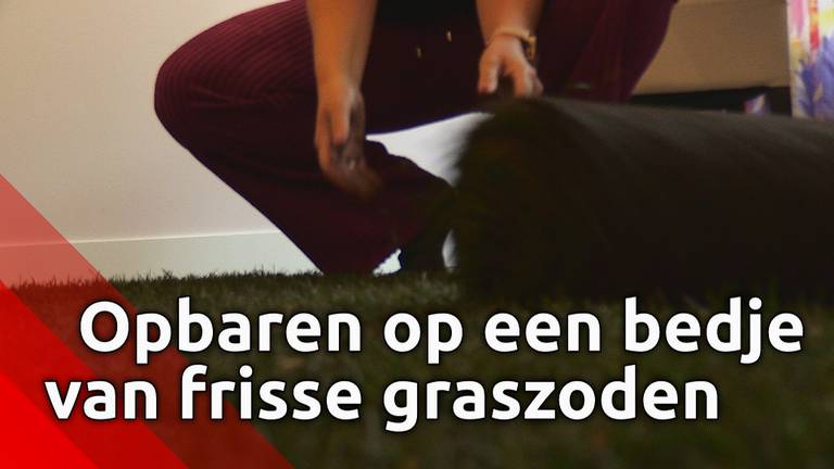 Bijzonder: Na je dood opgebaard worden op een bedje van frisse graszoden