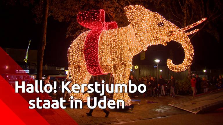 Geen enorme kerstboom, maar joekel van een kerstolifant in Uden
