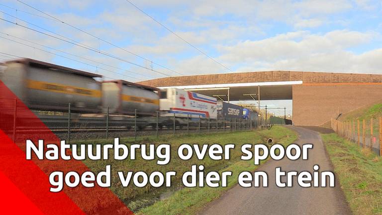 De dieren zijn blij met de nieuwe natuurbrug bij Best, maar ProRail ook