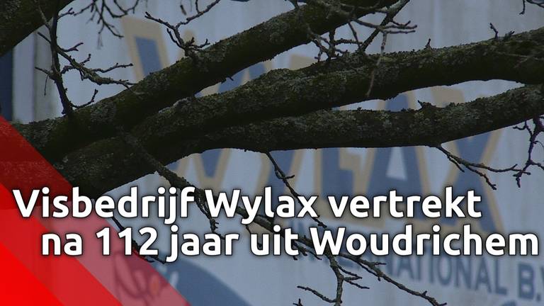 Visverwerkingsbedrijf Wylax vertrekt na 112 jaar uit visserij en vestingstad Woudrichem