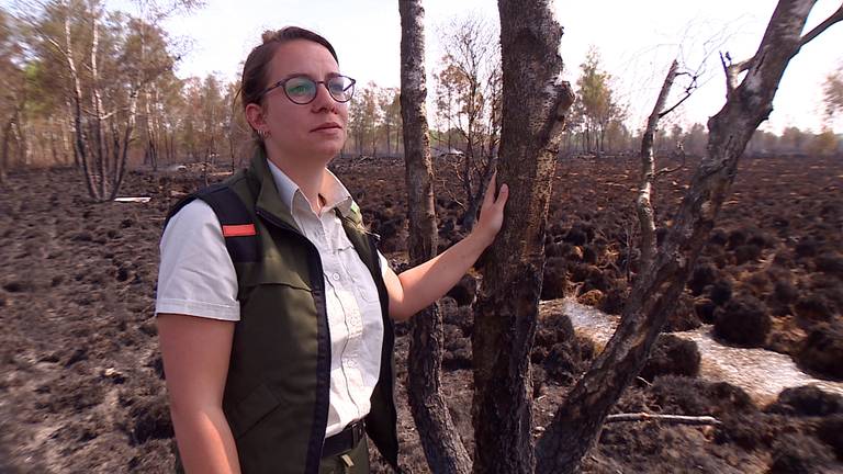 Boswachter Lieke loopt door de afgebrande Peel: ‘Over een paar weken is het weer een beetje groen’