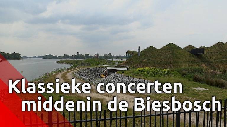 Vier klassieke openluchtconcerten gaan midden in Nationaal Park de Biesbosch plaatsvinden 