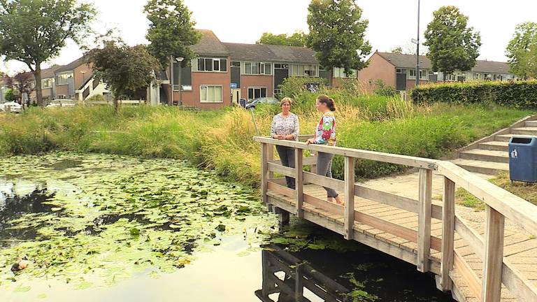 Anne laat de amfibieënkenner de kikkervijver voor haar huis zien