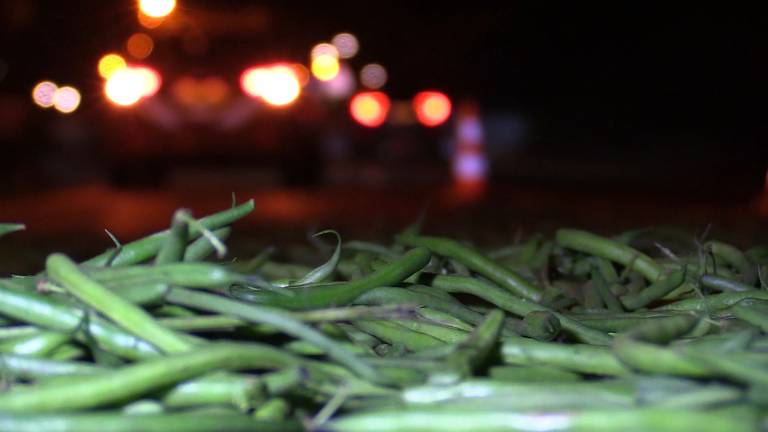 De A65 was woensdagnacht bezaaid met sperziebonen