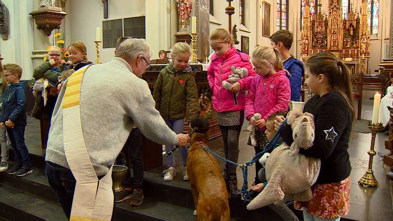 Laat je dier zegenen op dierendag