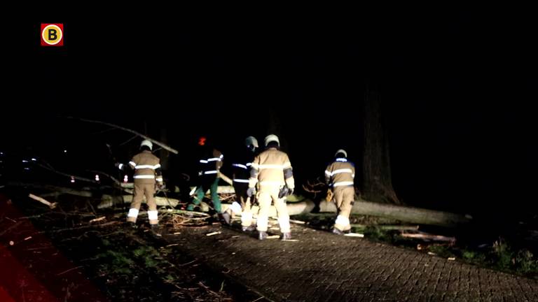 Vanuit heel de provincie komen donderdagochtend  meldingen binnen van omgewaaide bomen. 