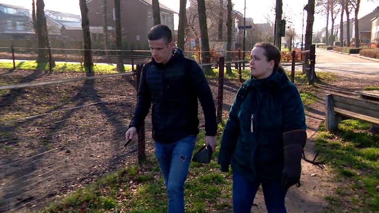Op zoek naar Pino: Arno en zijn vrouw speuren de bosjes in Heeze af