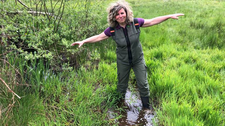  De droogte heeft de afgelopen jaren flink toegeslagen in de Brabantse natuur. 
