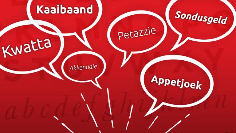 Sonja uit Helmond en Jan uit Hoogerheide houden van hun dialect
