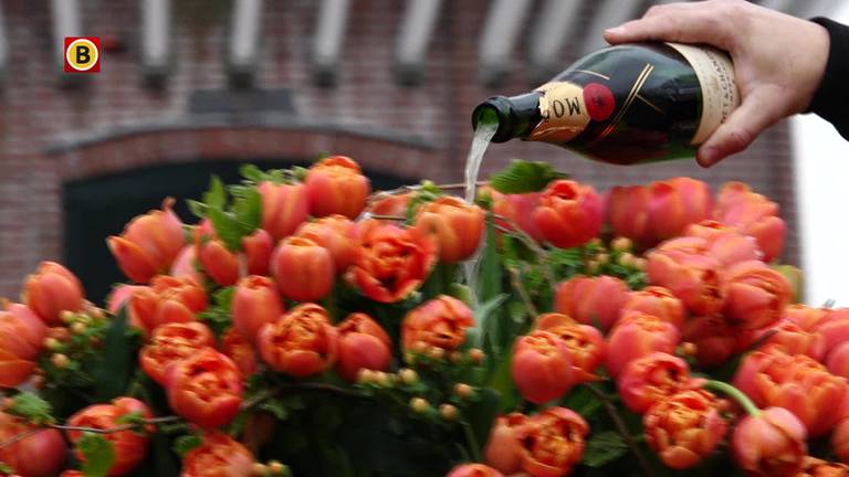 Guus Meeuwis heeft eigen tulp in Keukenhof