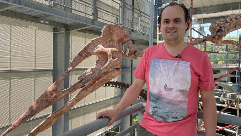 Het oertijdmuseum in Boxtel heeft een nieuwe dinosaurus die wordt tentoongesteld.