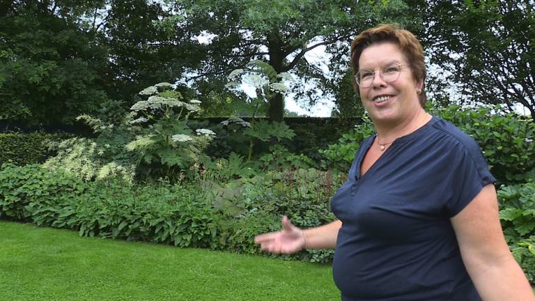 Zeven Brabantse tuinpareltjes waren even open voor de echte tuinliefhebbers