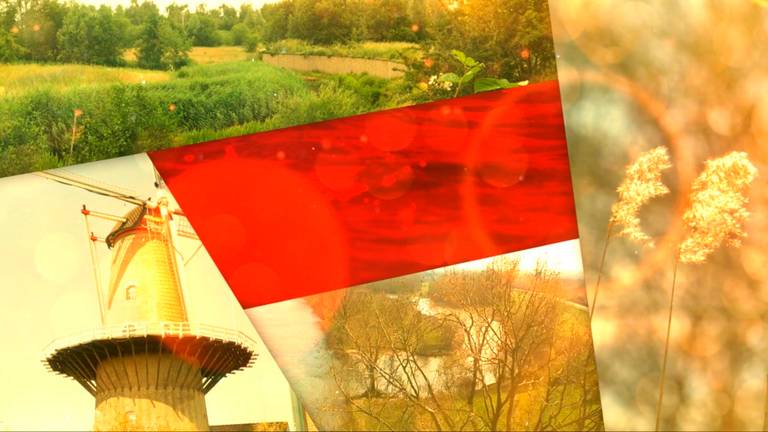 Media Omroep Brabant