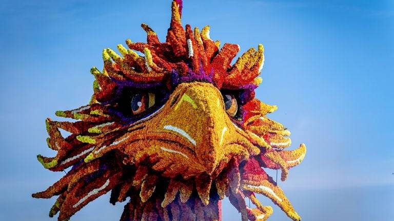 Bloemencorso Zundert