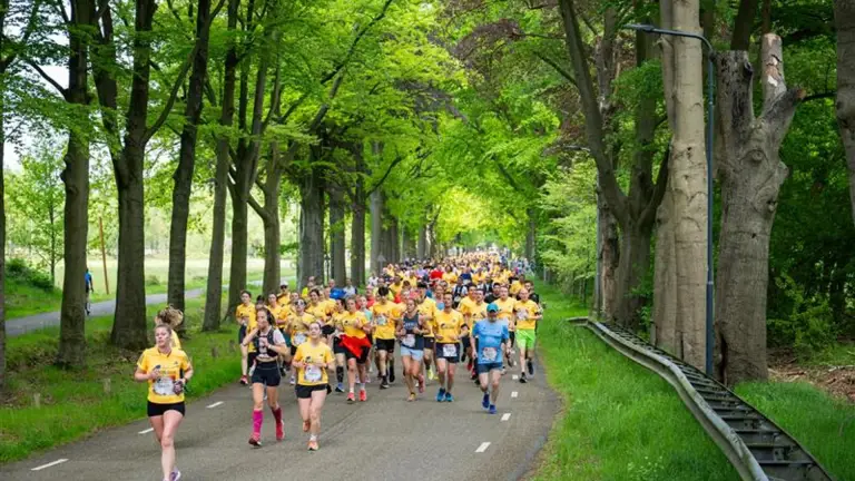 Wings for Life World Run